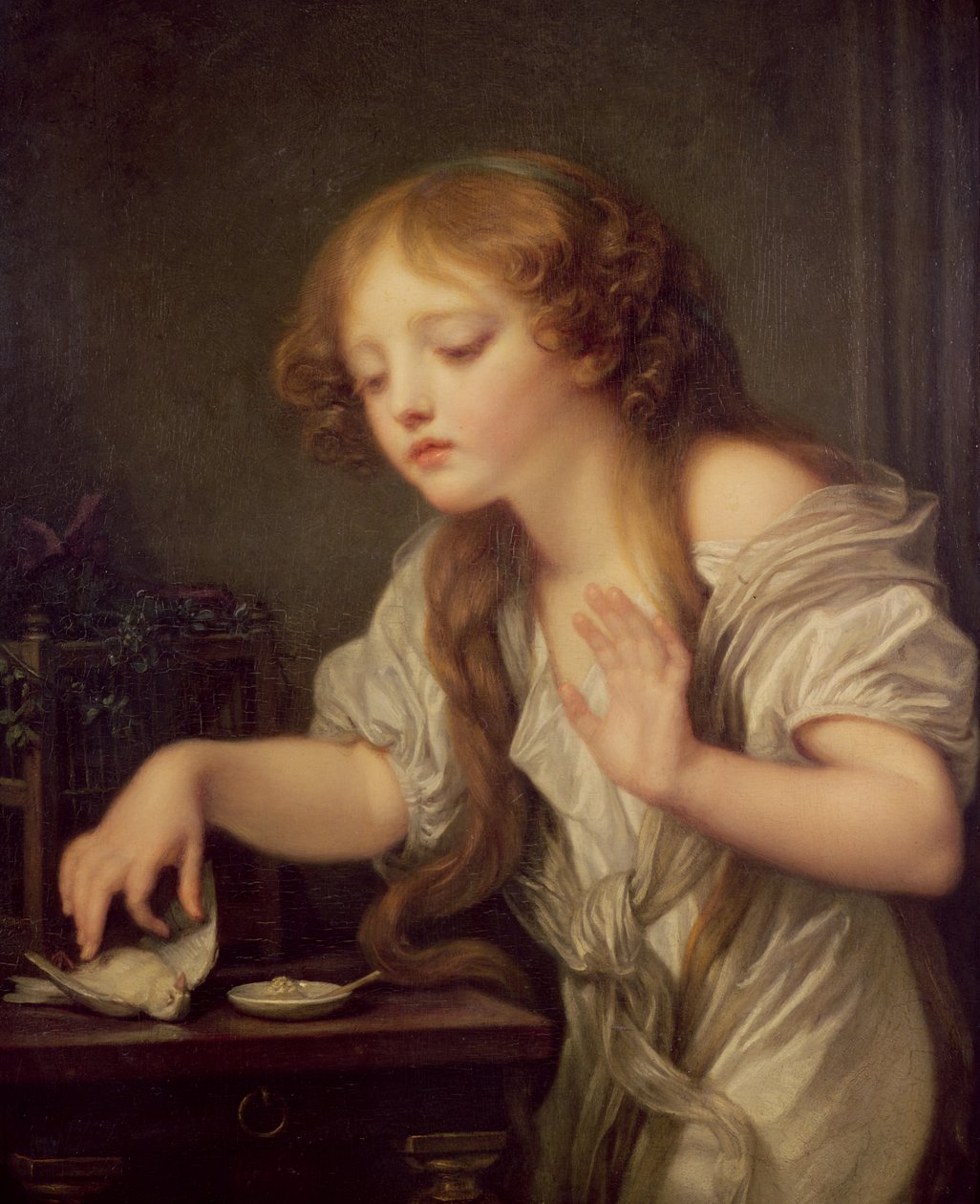 Mrtvý pták od Jean Baptiste Greuze