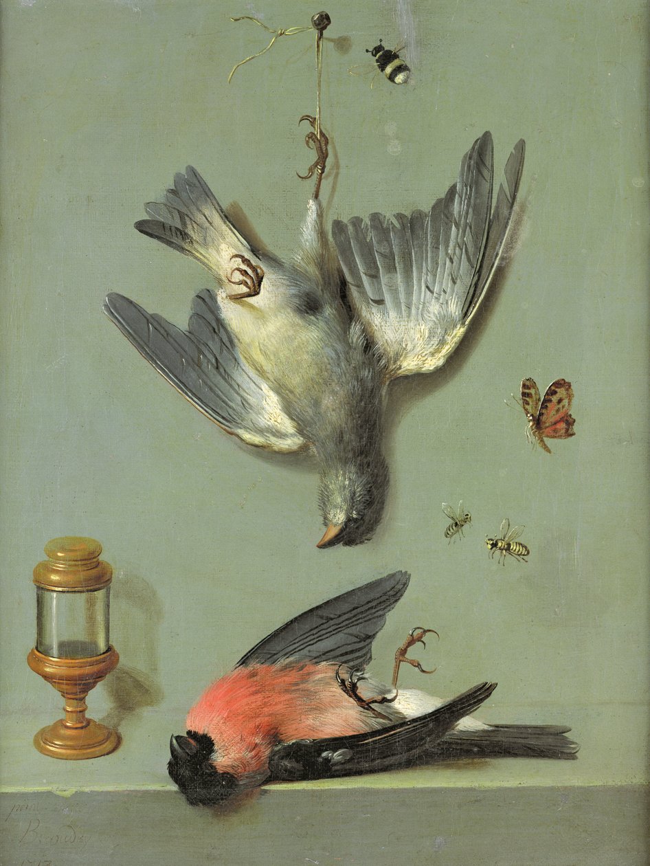 Zátiší s ptáky a hmyzem, 1713 od Jean Baptiste Oudry
