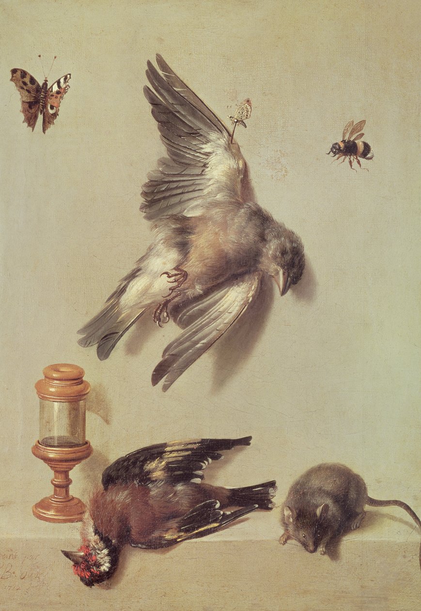 Zátiší mrtvých ptáků a myši, 1712 od Jean Baptiste Oudry