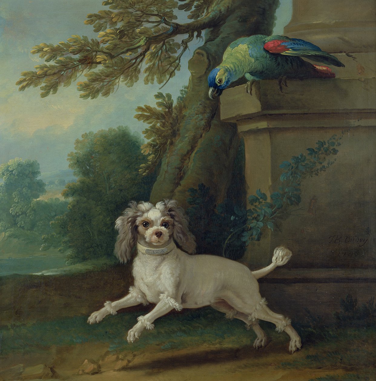 Zaza, pes, kolem roku 1730 od Jean Baptiste Oudry