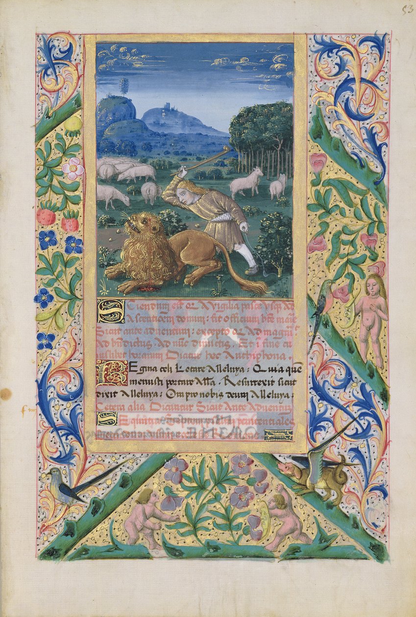paní Lat. Q.v.I.126 f.53 David bránící ovce svého otce před lvem, z „Knihy hodin Ludvíka d