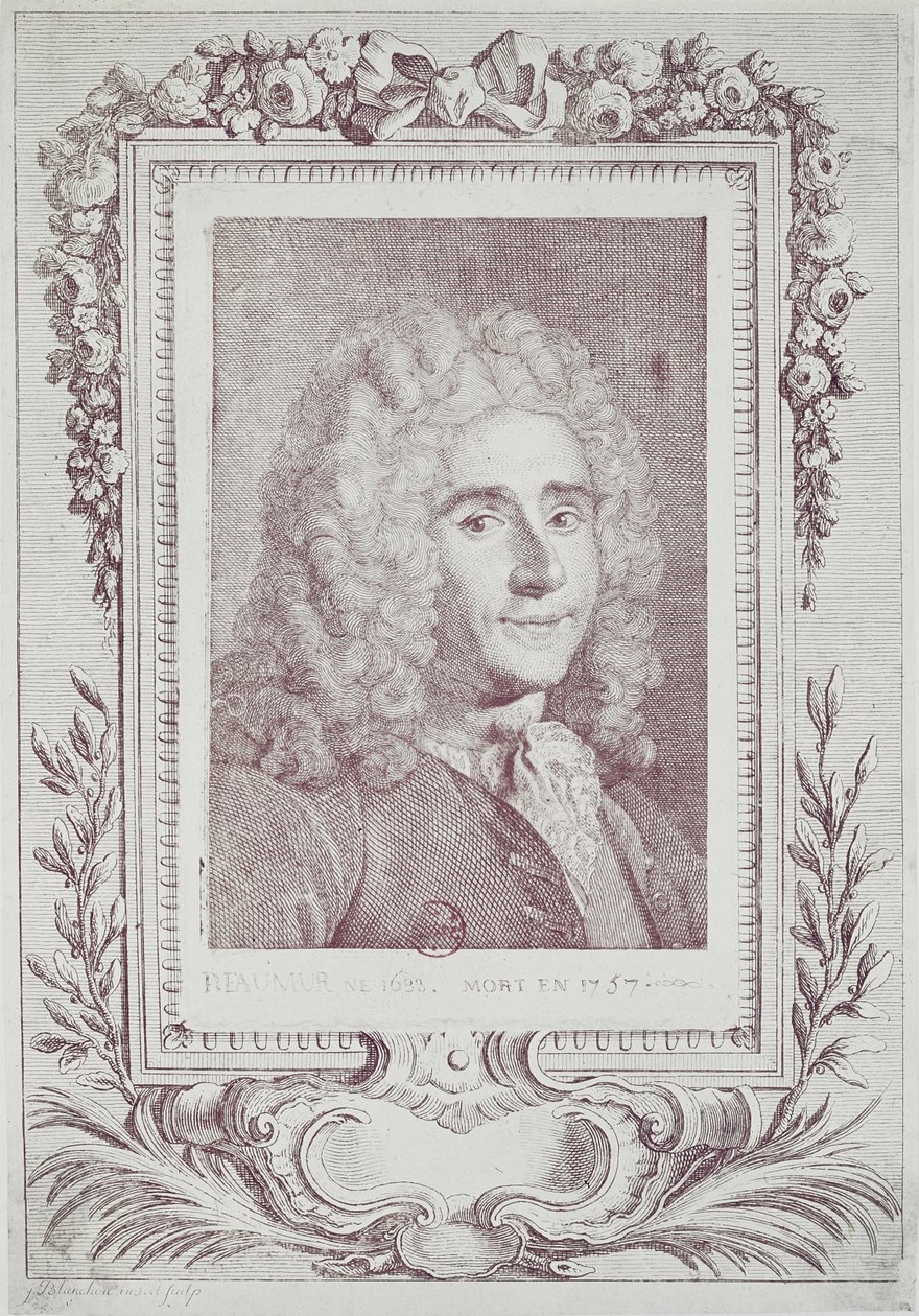 René Antoine Ferchault de Reaumur (1683-1757) od Jean Guillaume Blanchon