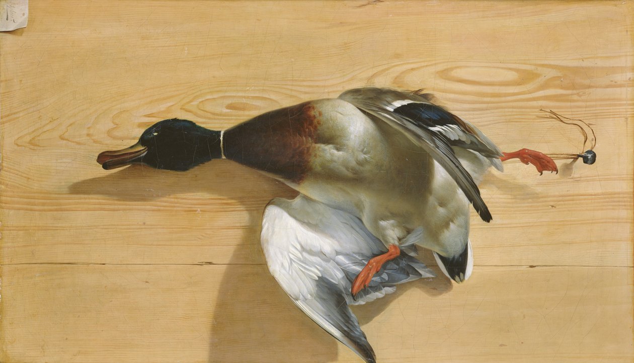 Kachna na borovém prkně, 1753 od Jean Jacques Bachelier