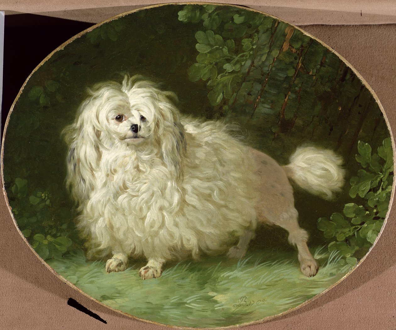 Portrét pudla od Jean Jacques Bachelier
