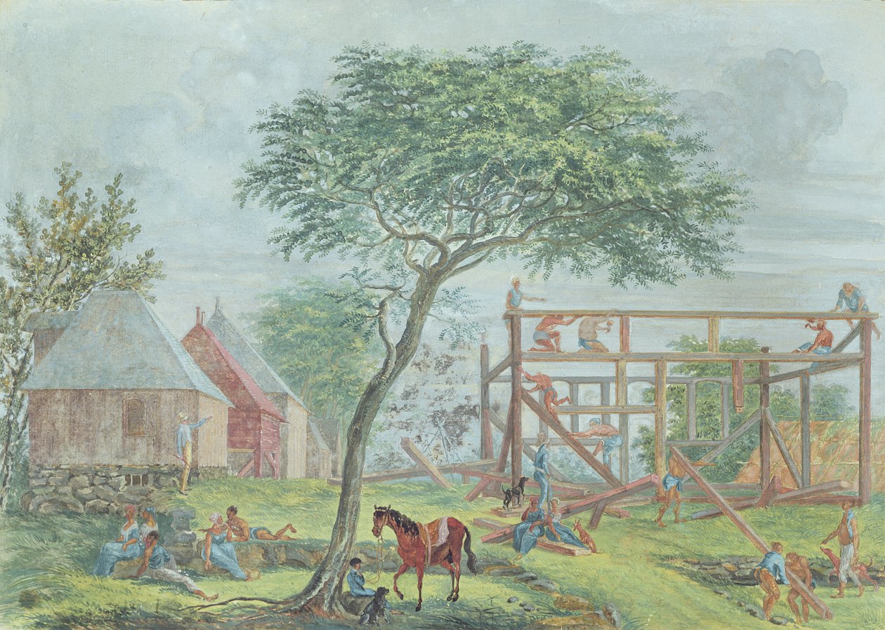 Stavba domu na Ile de la Réunion, c.1810-15 od Jean Joseph Patu de Rosemont
