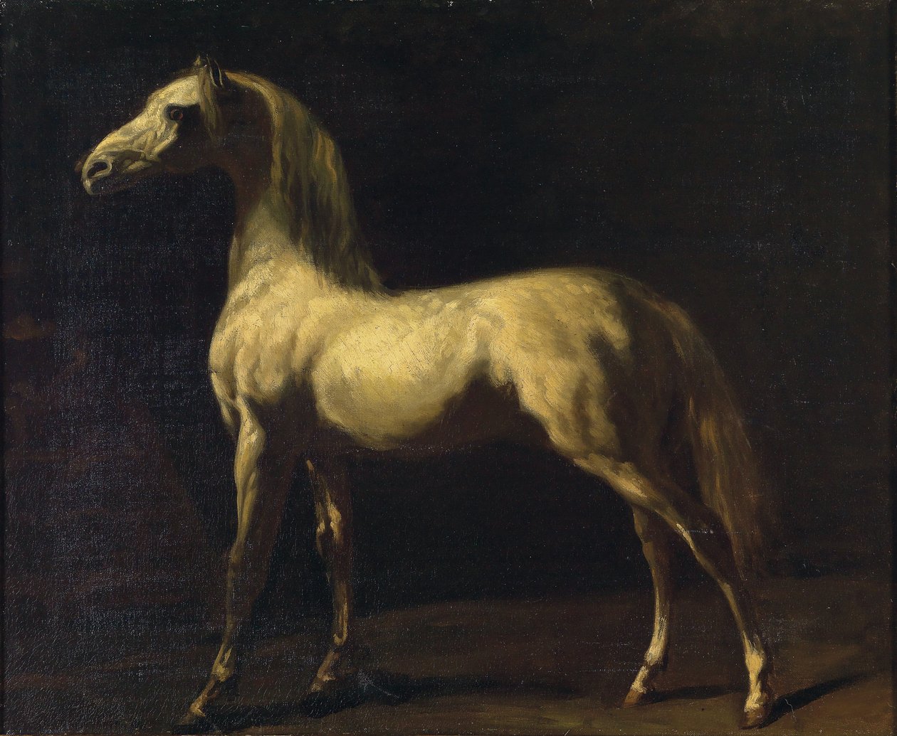 Stojící kůň od Theodore Gericault