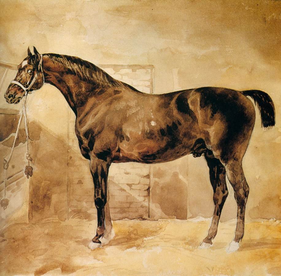Anglický kůň ve stáji od Theodore Gericault