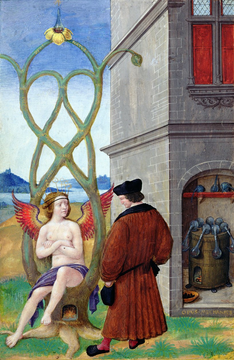 Dialog mezi alchymistou a přírodou, 1516 od Jean Perreal