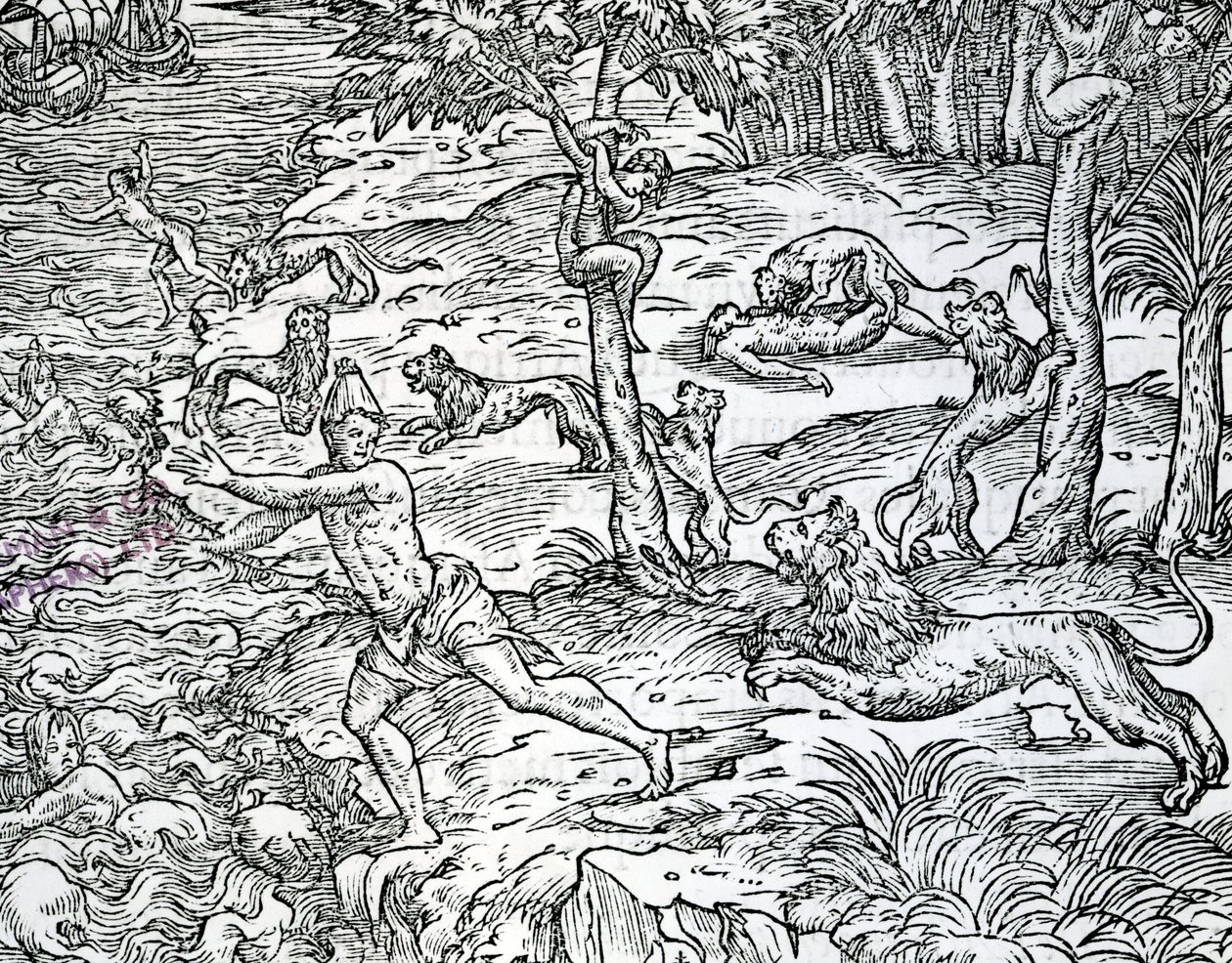Lvi útočí na lidi a jedí je, ilustrace z „Les singularities de la France antarctique“ od Andreho Theveta, vydáno 1558 od Jean the Younger Cousin