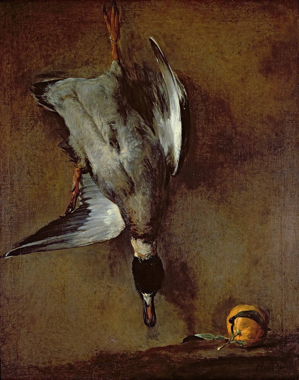 Kachna divoká visící na stěně se sevillským pomerančem, olej n plátno 1720-30) od Jean Baptiste Simeon Chardin