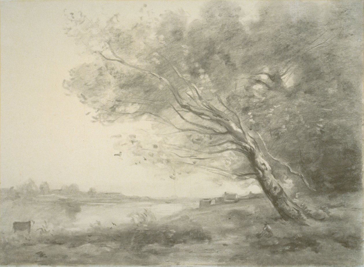 Ohnutý strom u vody od Jean-Baptiste-Camille Corot