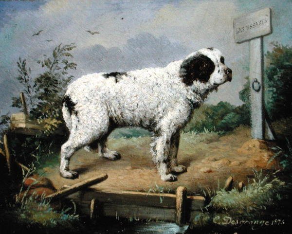 Newfoundland na nábřeží od Jean Baptiste Desgrange