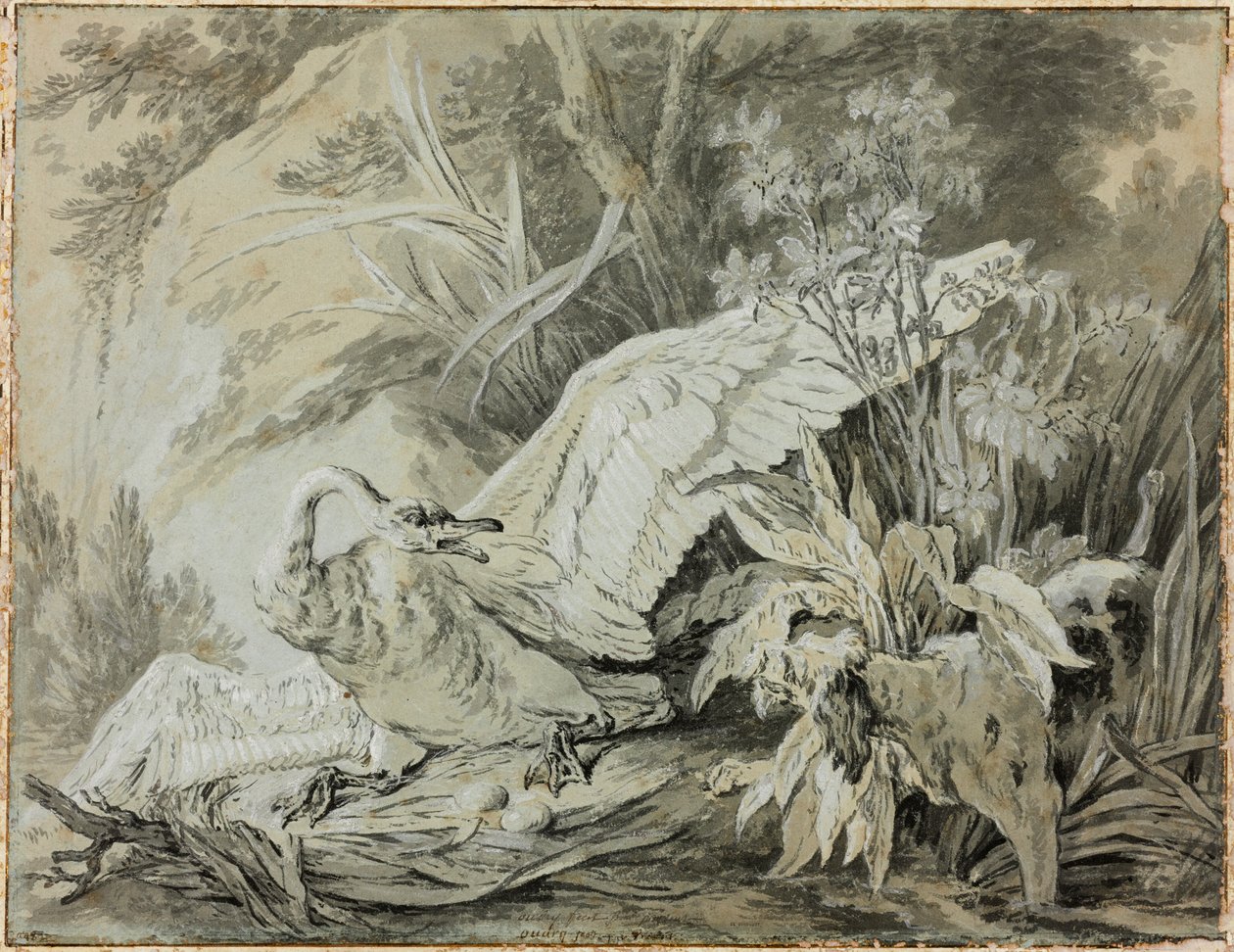 Divoká labuť napadená psem od Jean-Baptiste Oudry