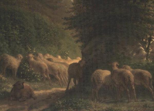 Ovce pasoucí se podél živého plotu od Jean Francois Millet