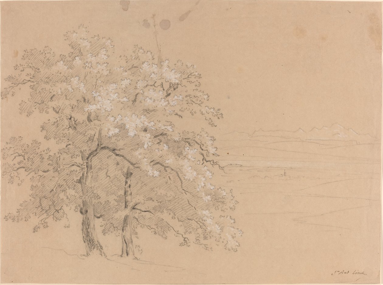 Sluncem zalité stromy před panoramatickou krajinou od Jean Antoine Linck