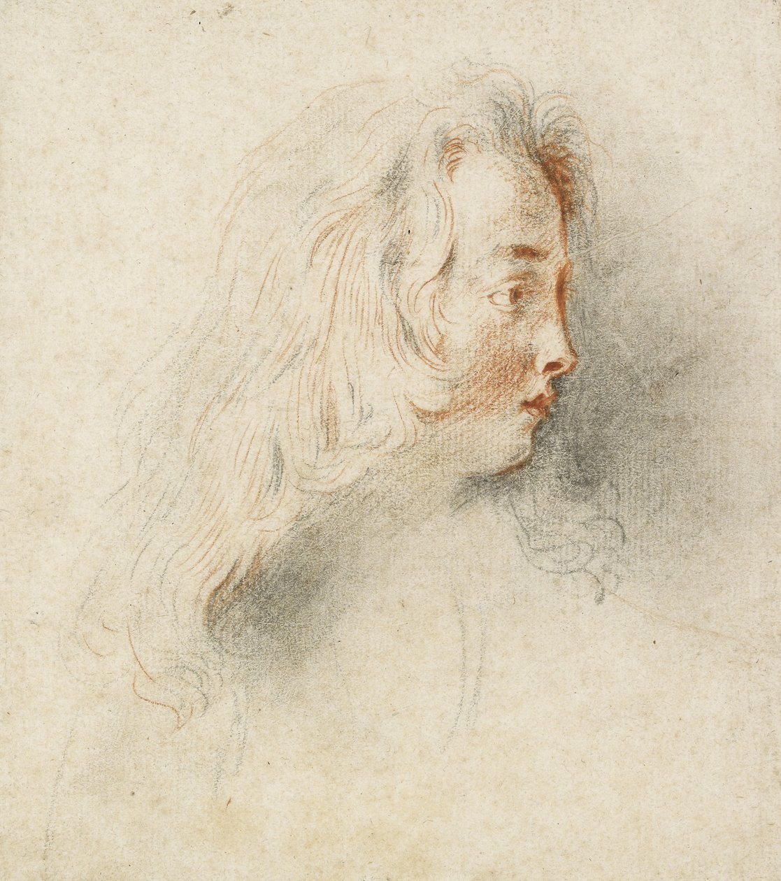 Hlava chlapce z profilu (černá a červená křída na potřísněném špinavě bílém papíře) od Jean Antoine Watteau