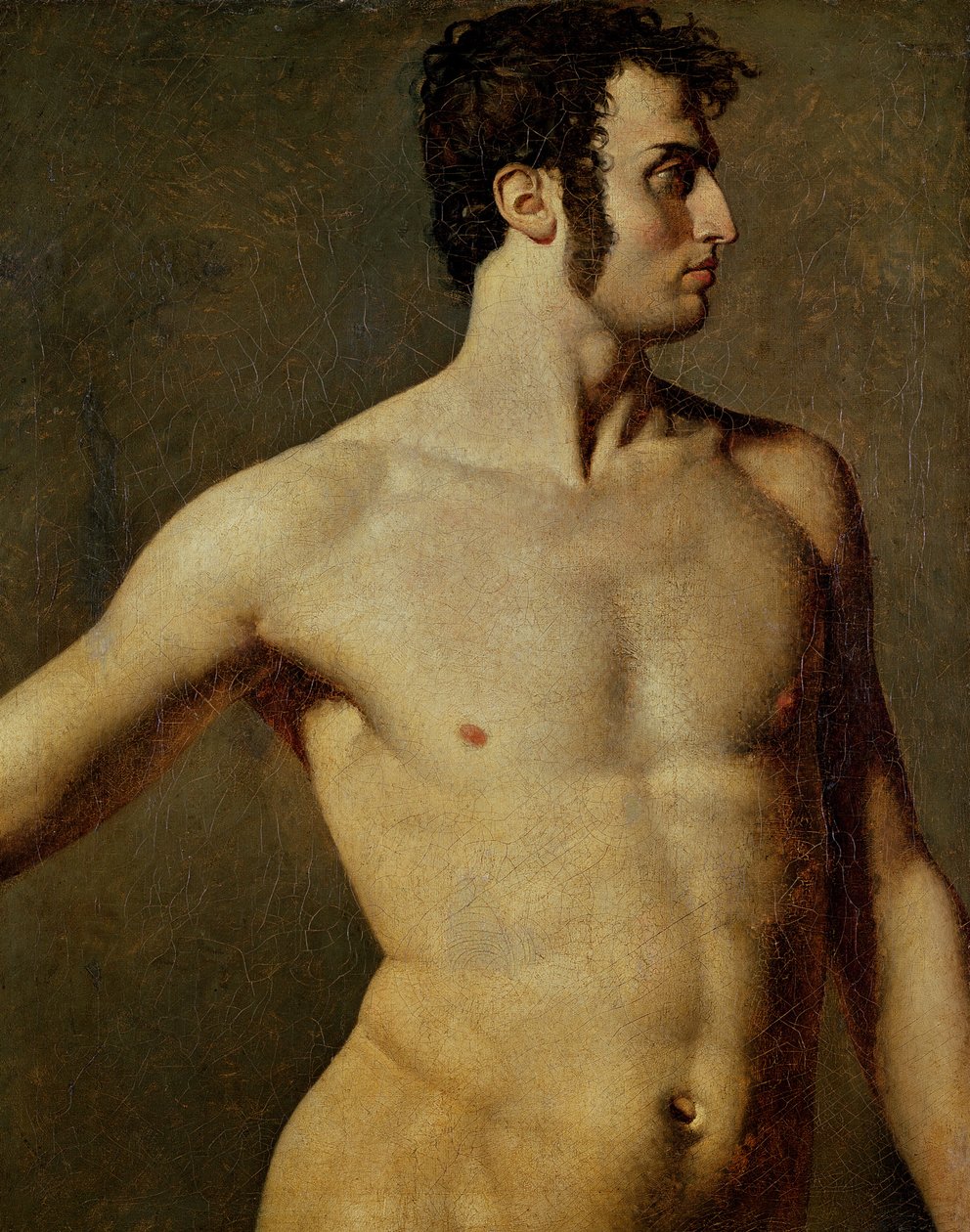 Mužské torzo od Jean Auguste Dominique Ingres