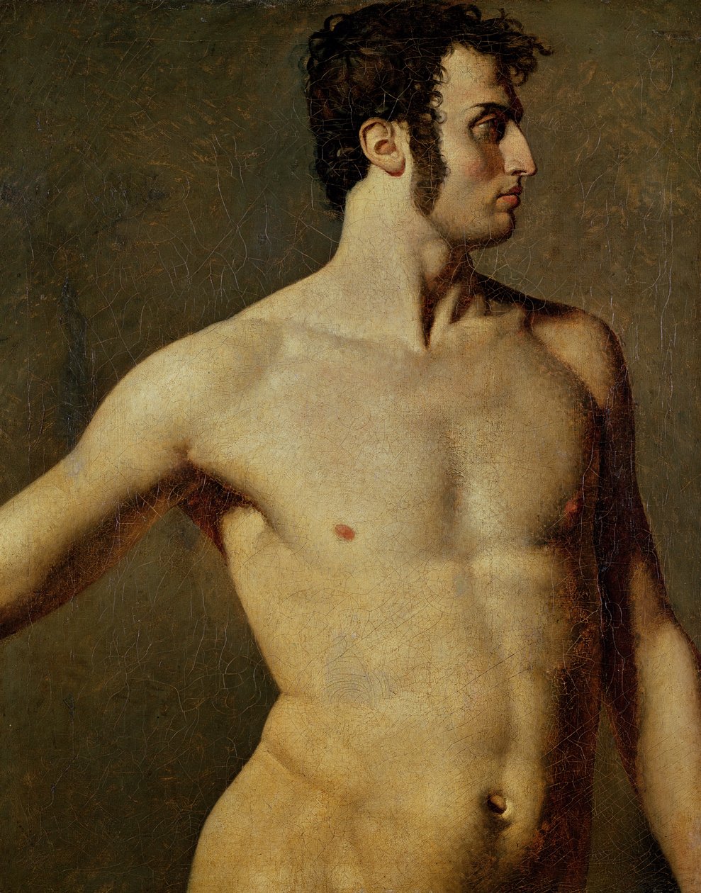 Mužské torzo, cca 1800 (olej na plátně) od Jean Auguste Dominique Ingres