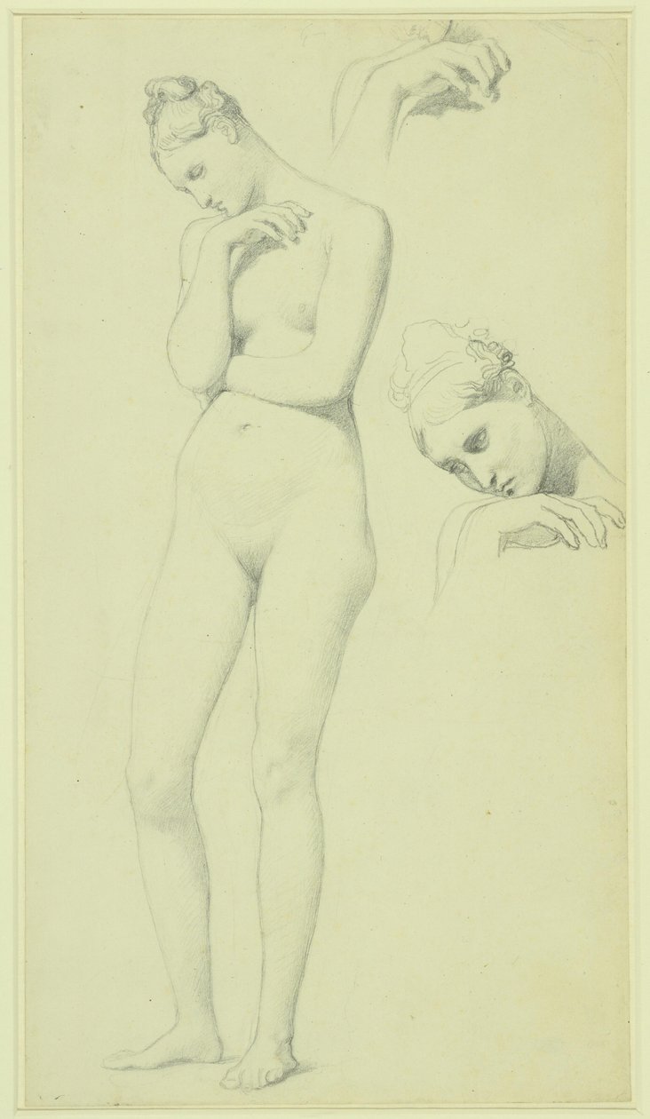 Studie k postavě Stratonice, asi 1834-40 (tužka na papíře) od Jean Auguste Dominique Ingres