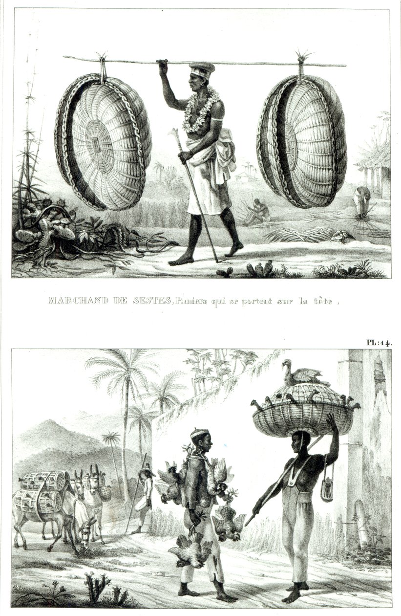 Košíky na hlavu a prodejce drůbeže, od „Malebné a historické cesty do Brazílie“ od Jean Baptiste (after) Debret