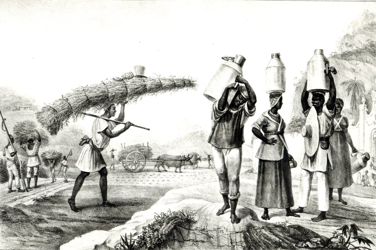 Prodejci mléka a capim, od „Malebné a historické cesty do Brazílie“ od Jean Baptiste (after) Debret