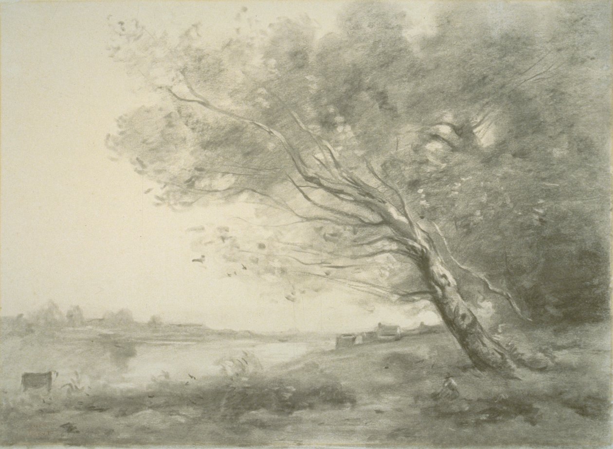Ohnutý strom u vody od Jean Baptiste Camille Corot