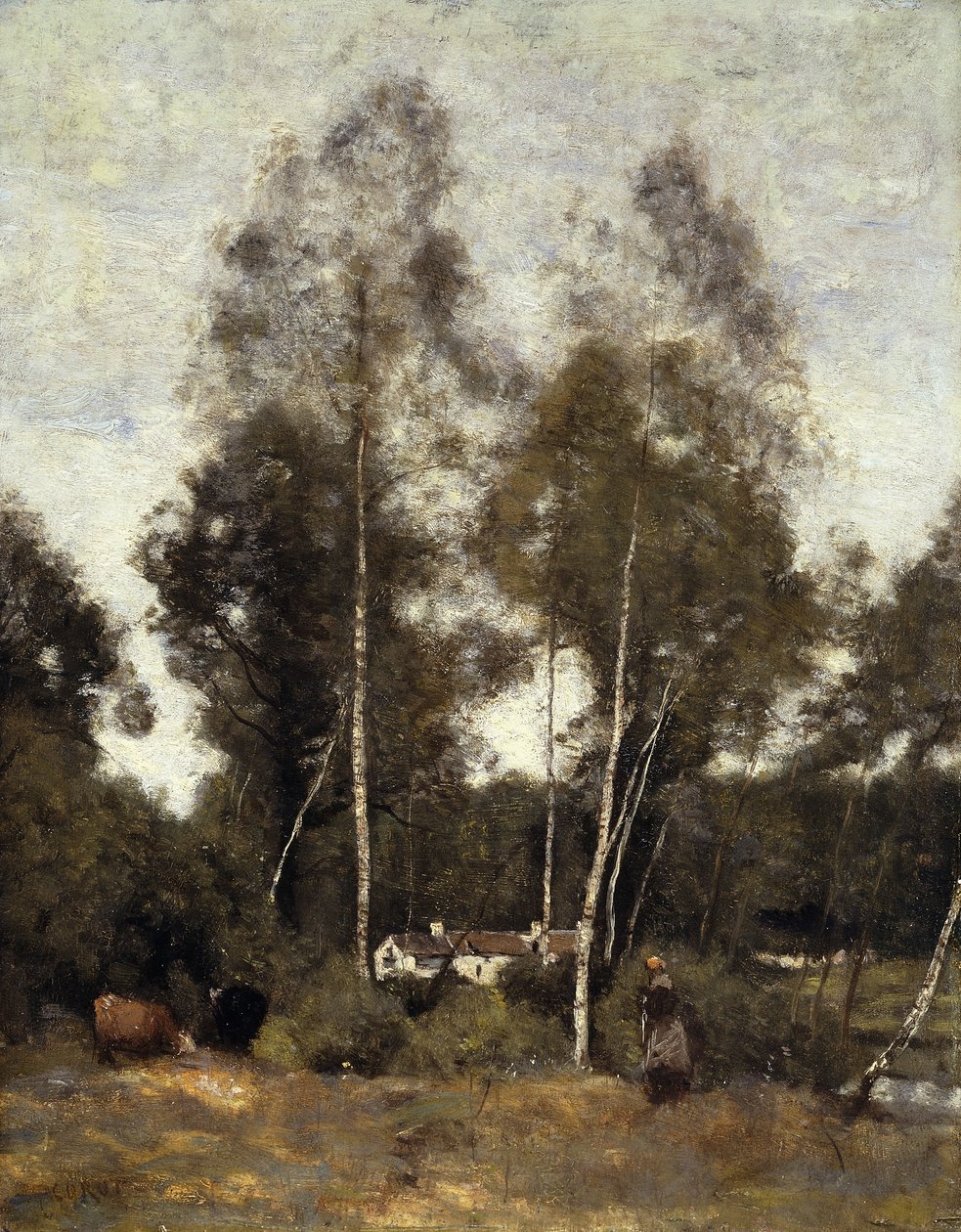 Clairiere Pierre du Bois, Evaux, poblíž Chateau-Thierry; Glade of Bois Pierre, v Evaux, poblíž Chateau-Thierry, kolem 1855-65 od Jean-Baptiste-Camille Corot