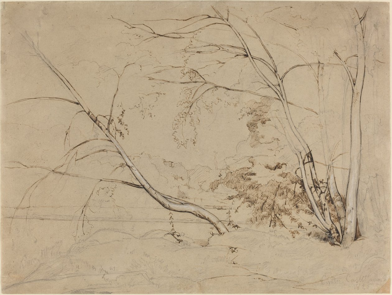 Shluk stromů v Civita Castellana, 1826. od Jean Baptiste Camille Corot