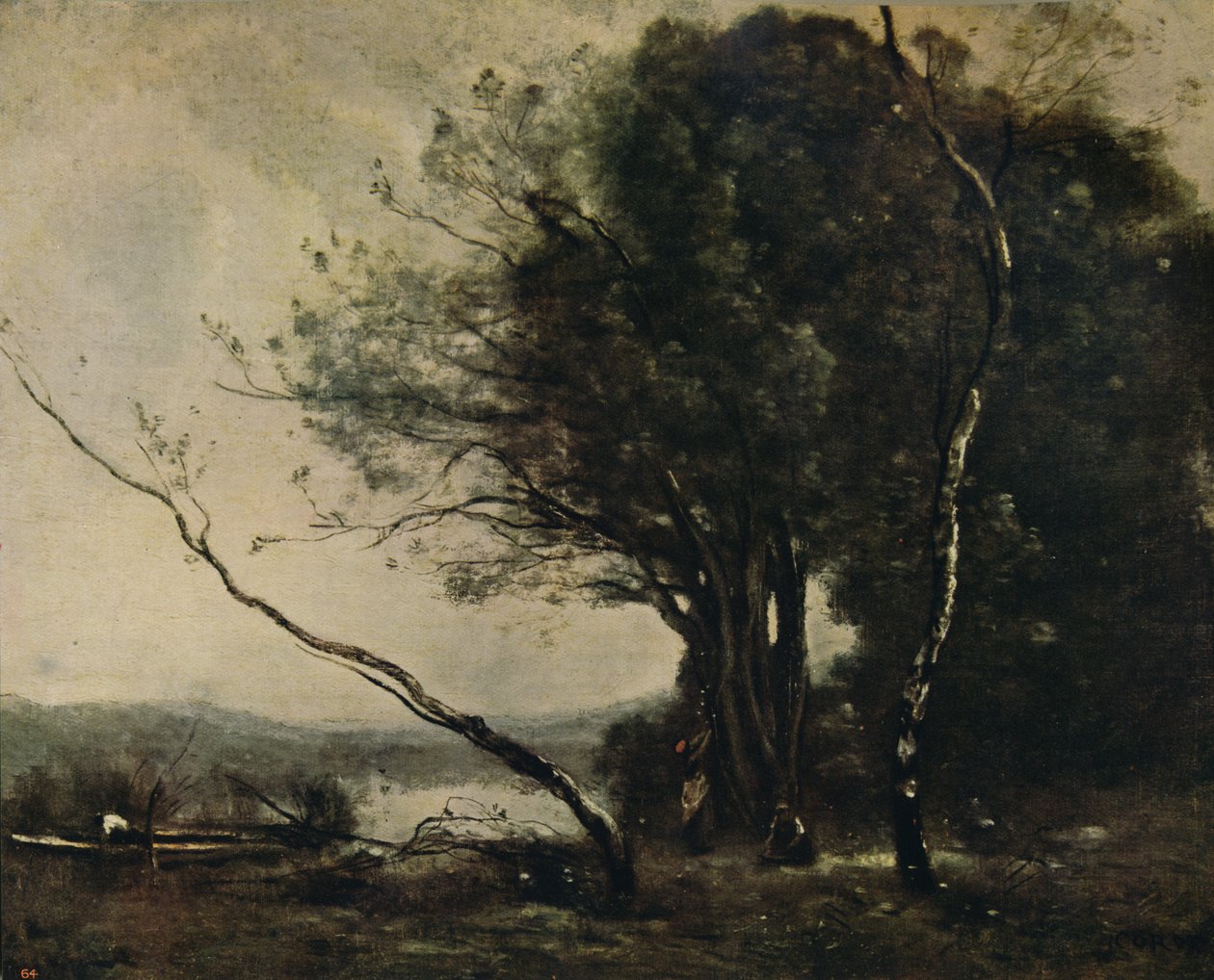 The Bent Tree, 1855-1860, c1915 od Jean Baptiste Camille Corot
