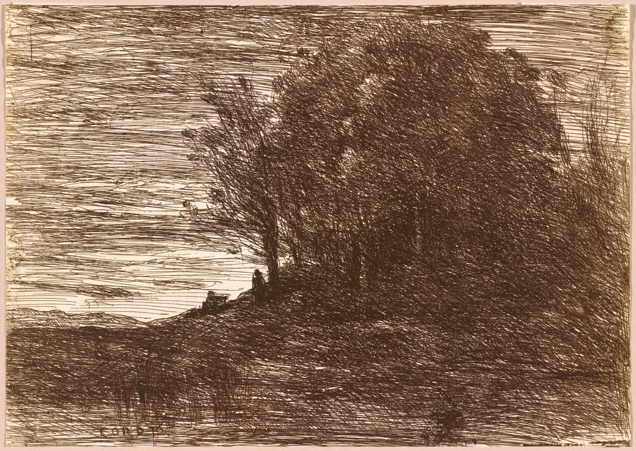 Poustevnický les aneb břehy jezera Trasimène,1858 (kresba) od Jean Baptiste Camille Corot