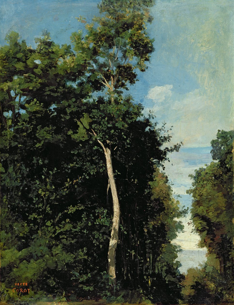 Dřevo na Cote de Grace v Honfleuru (olej na plátně položeném na palubě) od Jean Baptiste Camille Corot