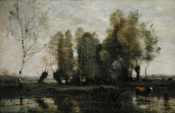Stromy v bažinaté krajině, cca 1855-60 (olej na plátně) od Jean Baptiste Camille Corot