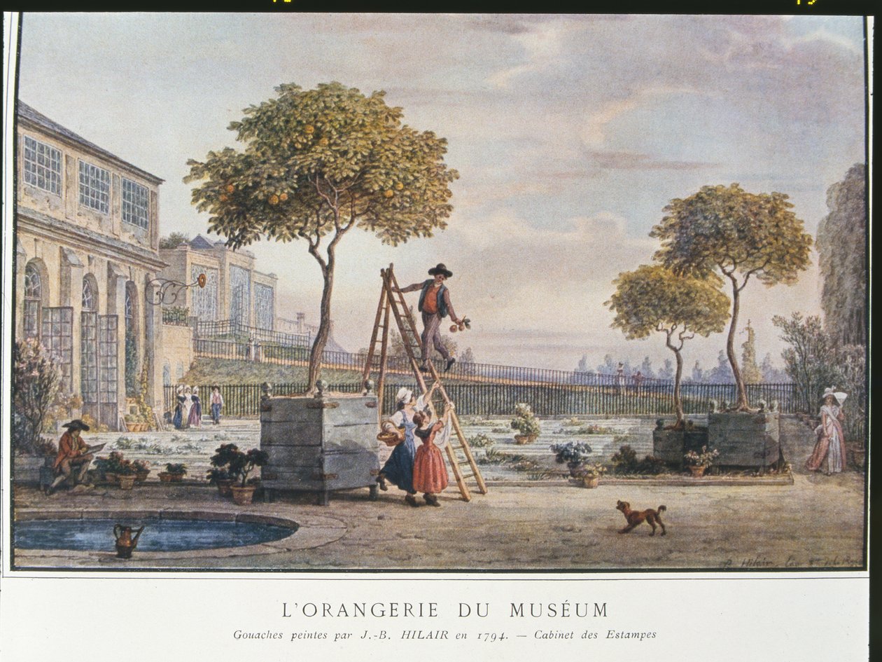Orangerie v muzeu v Paříži v roce 1794 od Jean Baptiste Hilair
