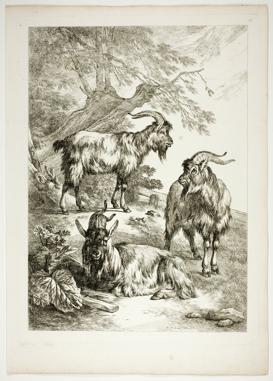 Deska sedmnáct z 38 z Oeuvres de J. B. Huet od Jean Baptiste Huet