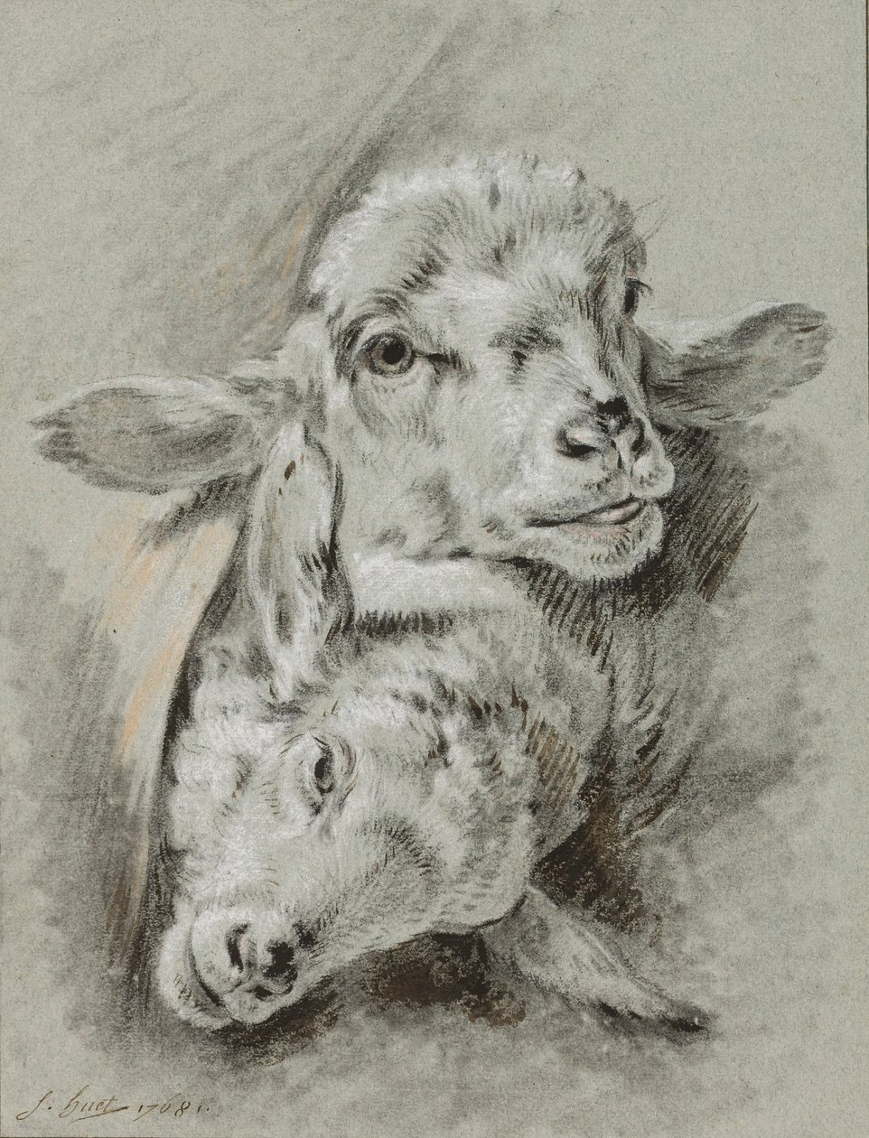 Studie dvou ovcí, 1768 (křída a mytí na papíře) od Jean Baptiste Huet