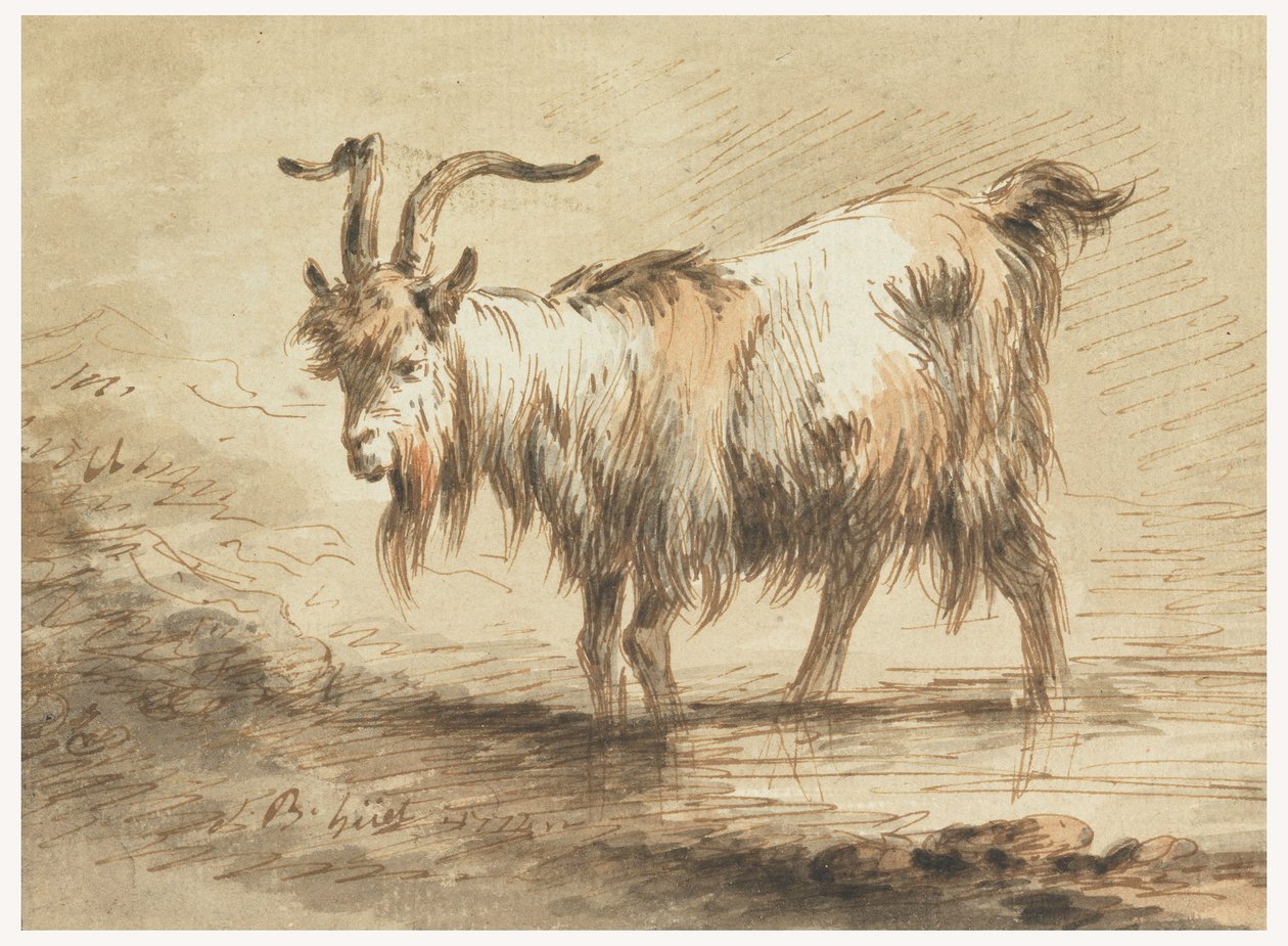 Kresba, Studie kozy, 1772 od Jean Baptiste Huet