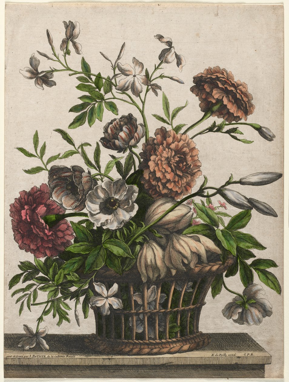 Marigolds, single Sasanka, Jasmine... od Jean Baptiste I Monnoyer