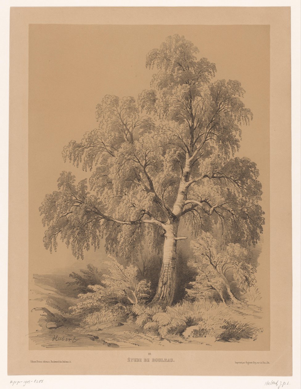 Studie van een Berk Birch Study (název na objektu) Peněženka van Jean Baptiste Louis Hubert (název série) Umělcova peněženka (název série) od Jean Baptiste Louis Hubert