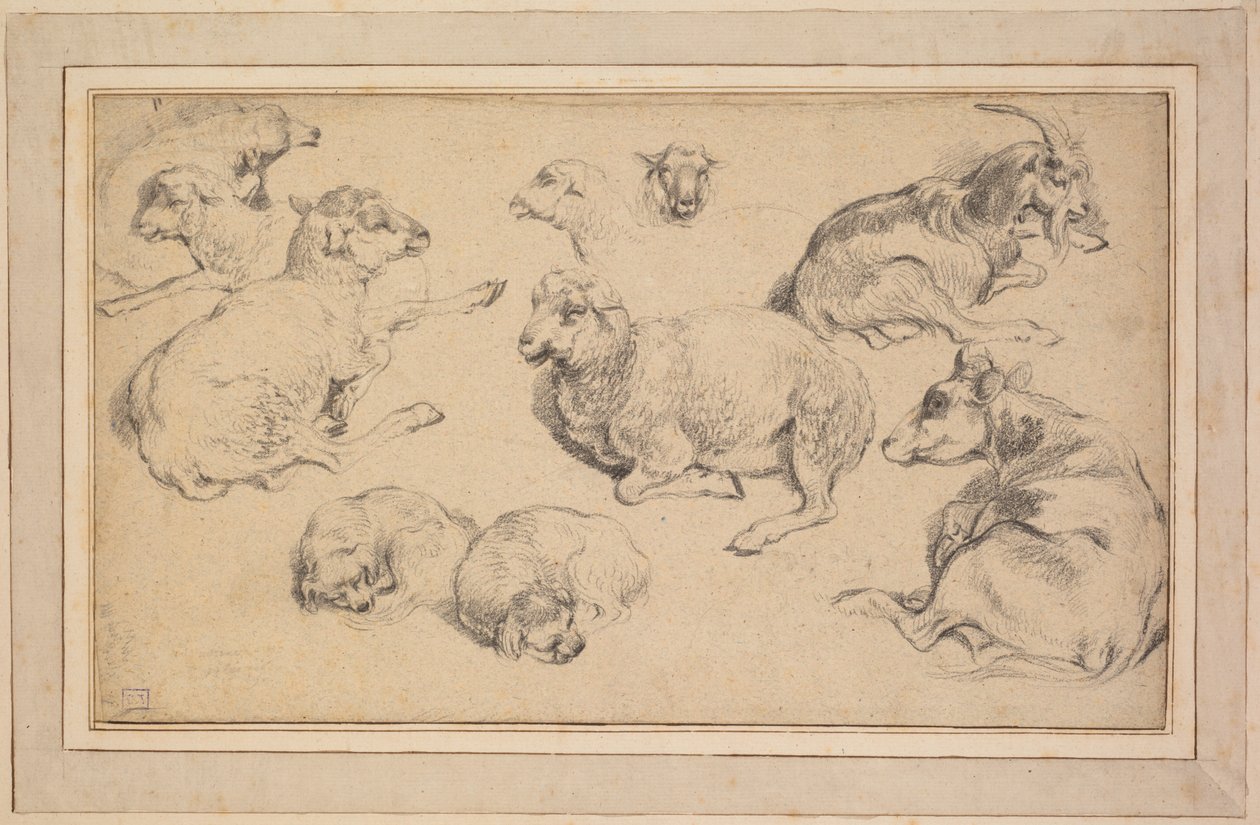 List studií s ovcemi, kozami a psy, c. 1780. od Jean Baptiste Marie Huet