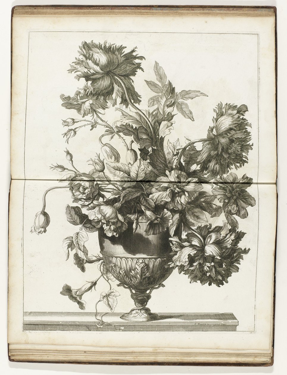 Bloemenvaas Knihy několika květinových váz vyrobených podle Natural (název série) od Jean Baptiste Monnoyer