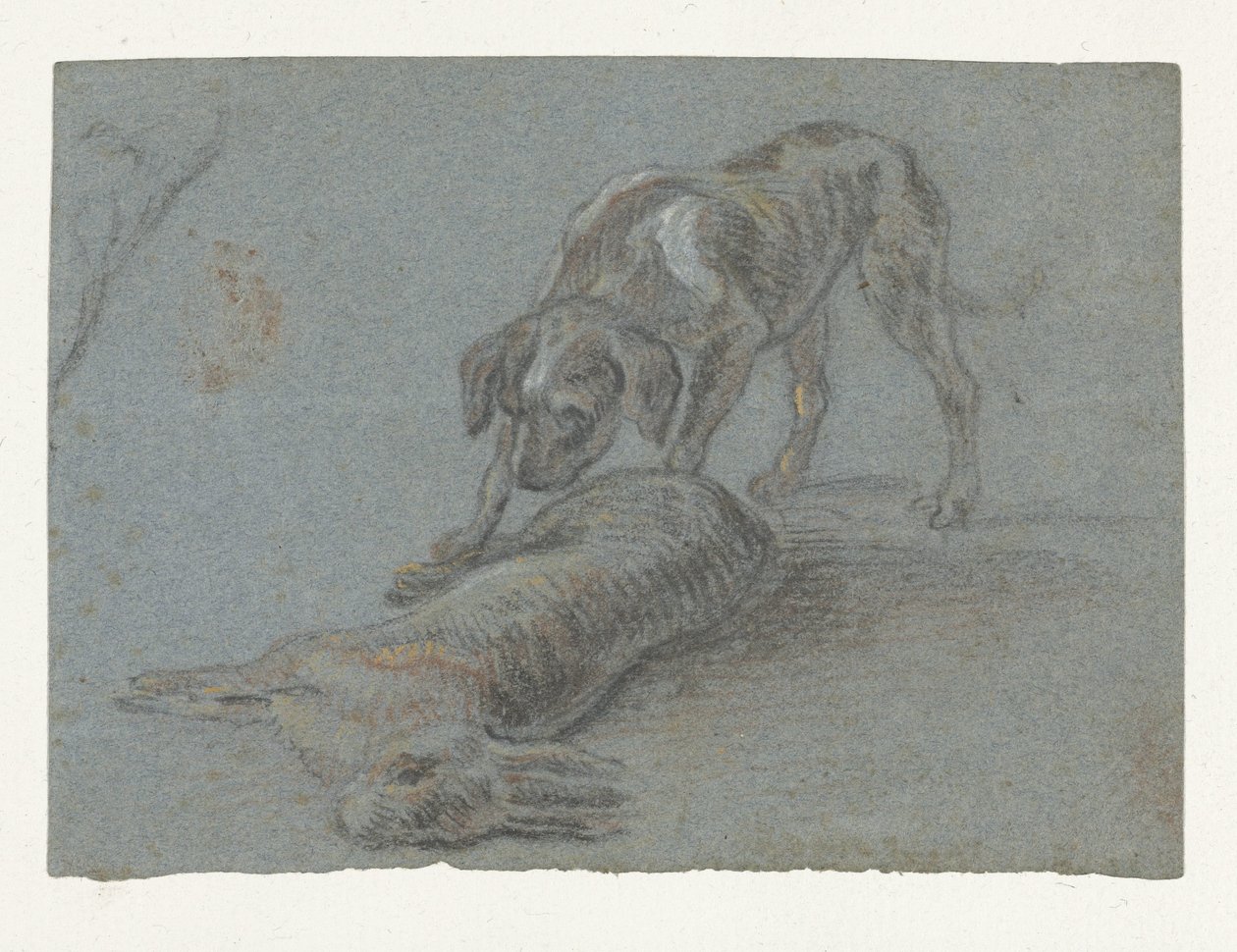 Pes s postřeleným zajícem od Jean Baptiste Oudry (possibly)