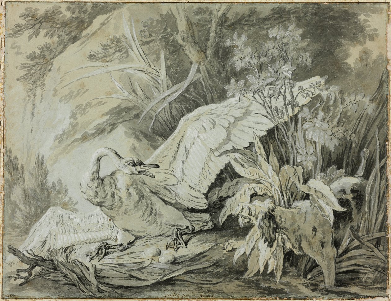 Divoká labuť napadená psem od Jean Baptiste Oudry