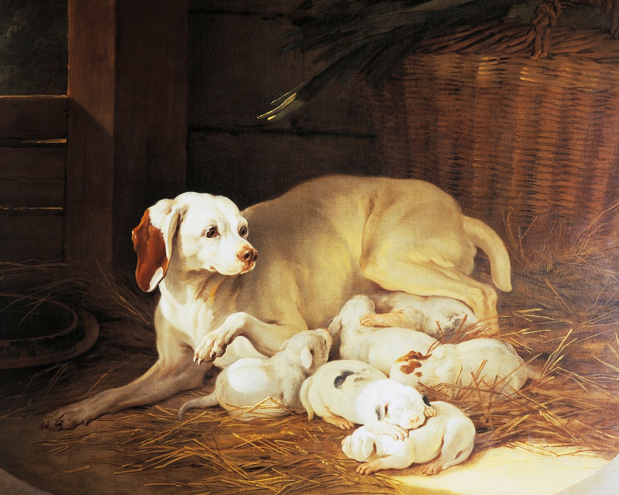 Fena kojící štěňata, detail z Lise et ses petits, Jean-Baptiste Oudry (1686-1755), Francie od Jean Baptiste Oudry