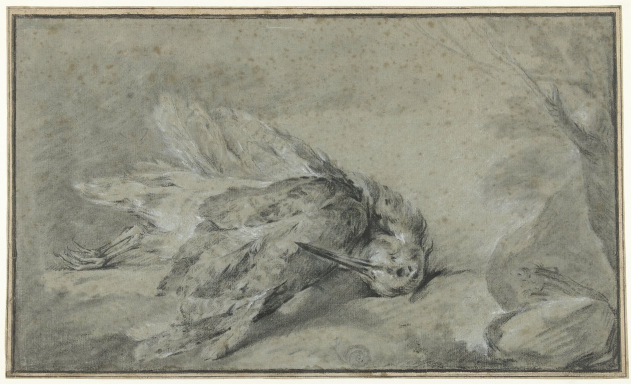 Mrtvá sluka lesní (Scolopax rusticola) od Jean Baptiste Oudry