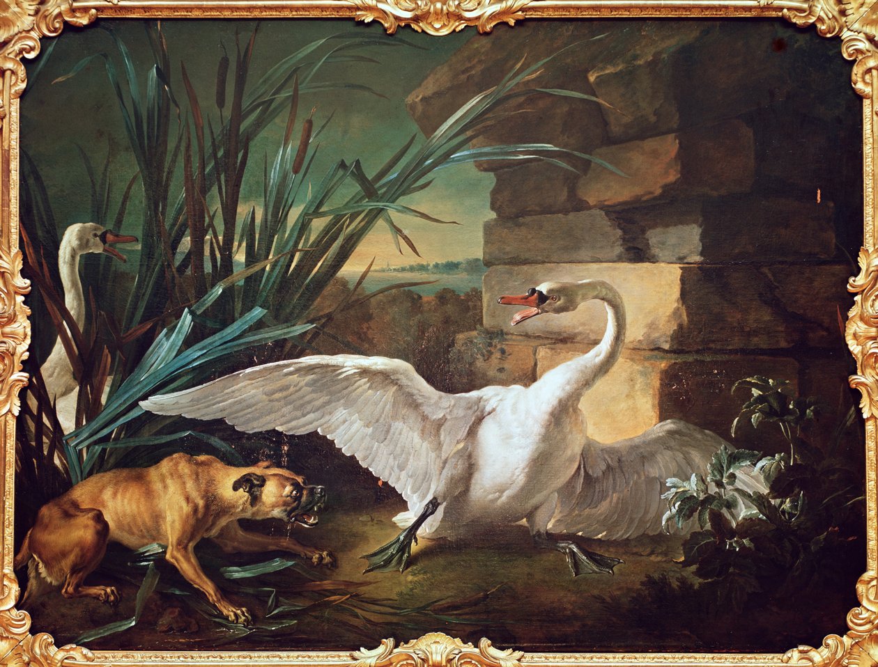 Pes a labutě od Jean Baptiste Oudry