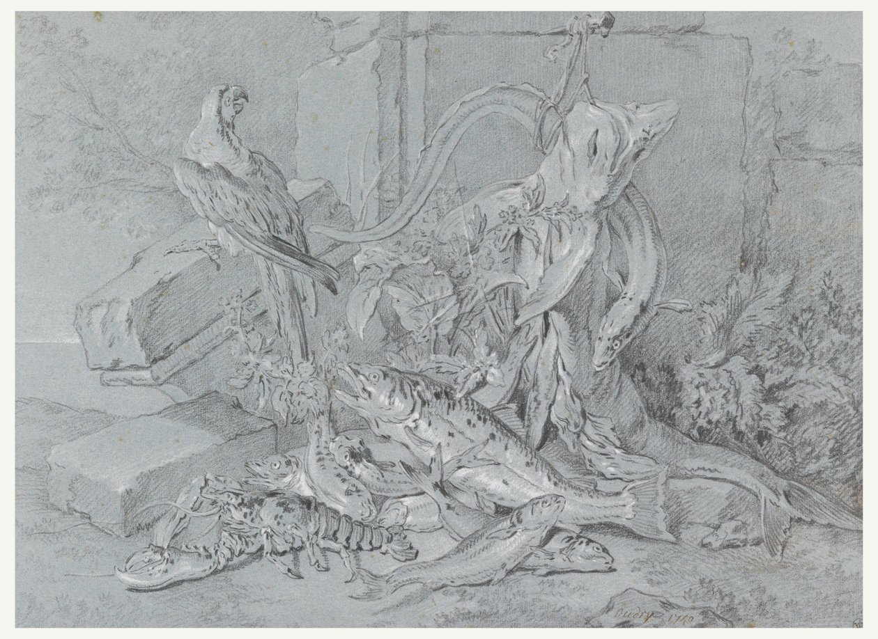 Kresba, Zátiší s rybou a papouškem, 1740 od Jean Baptiste Oudry