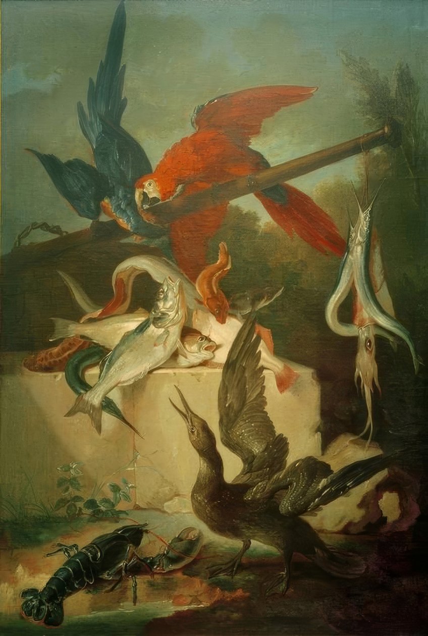 Ryby, mořští ptáci a papoušci od Jean Baptiste Oudry