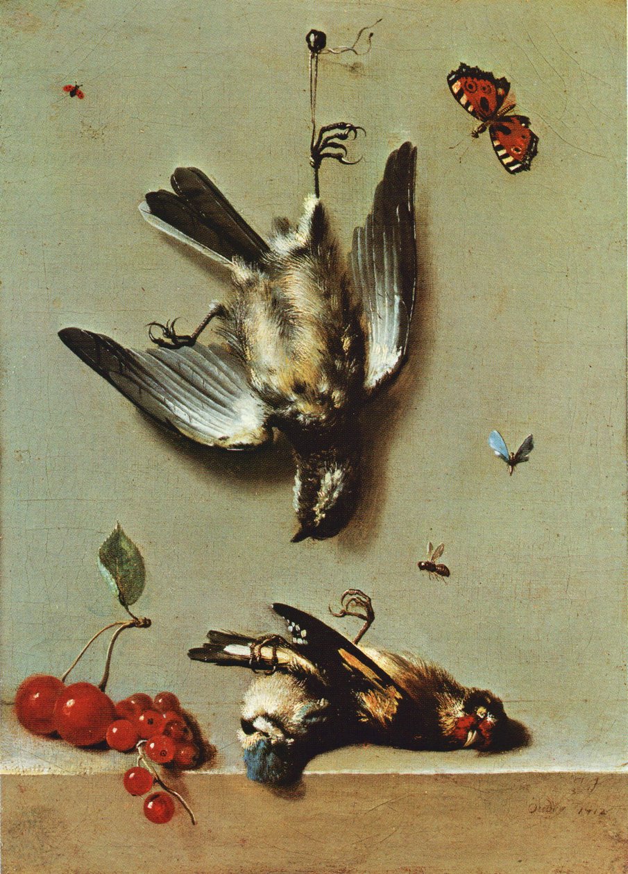 Zátiší se třemi mrtvými ptáky, rybízem, třešněmi a hmyzem od Jean Baptiste Oudry