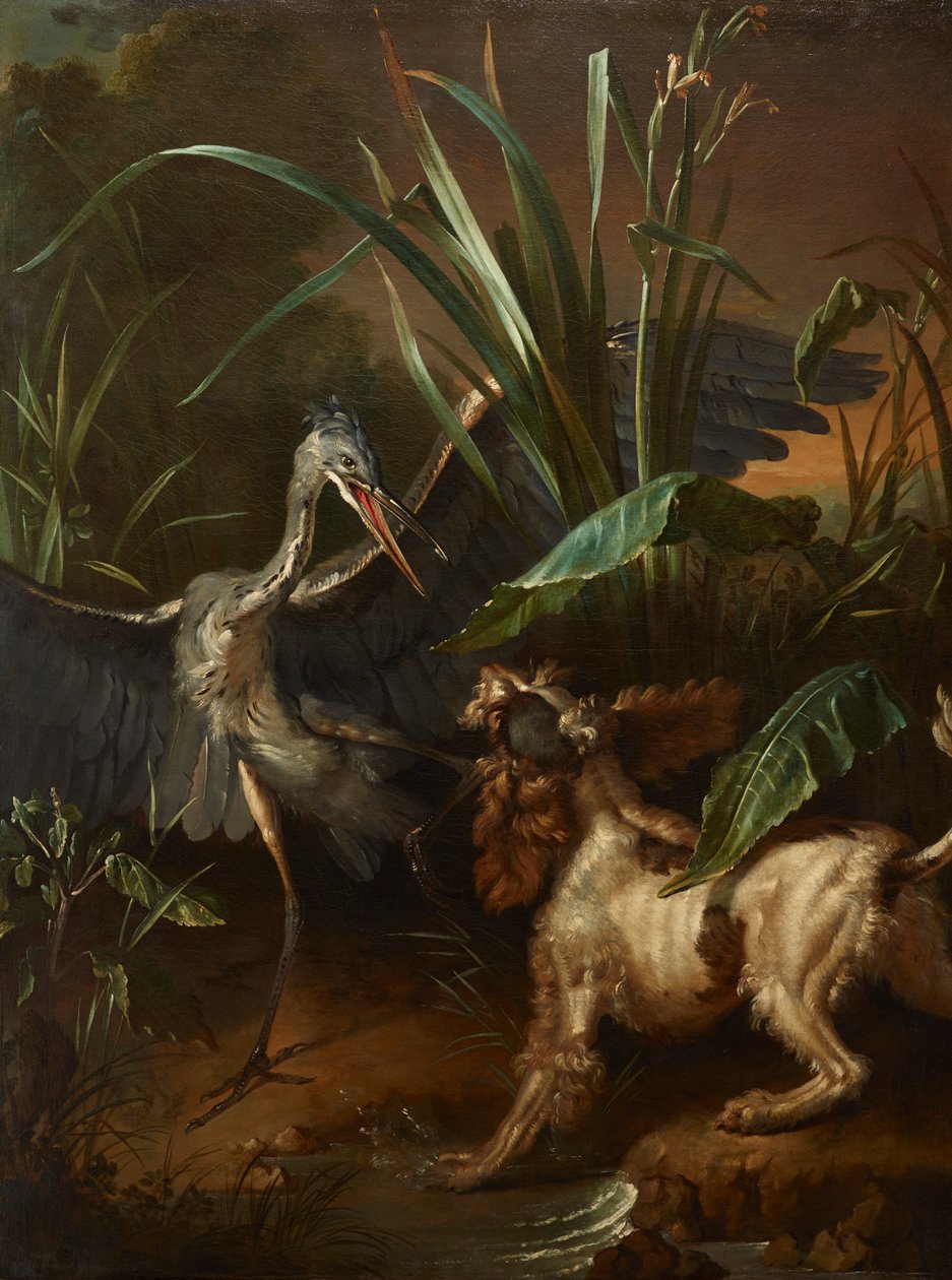 Vodní španěl čelí volavce od Jean Baptiste Oudry