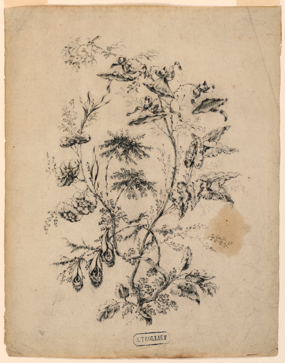 Kresba, Větvička fantastického stromu, 1775-1800 od Jean Baptiste Pillement